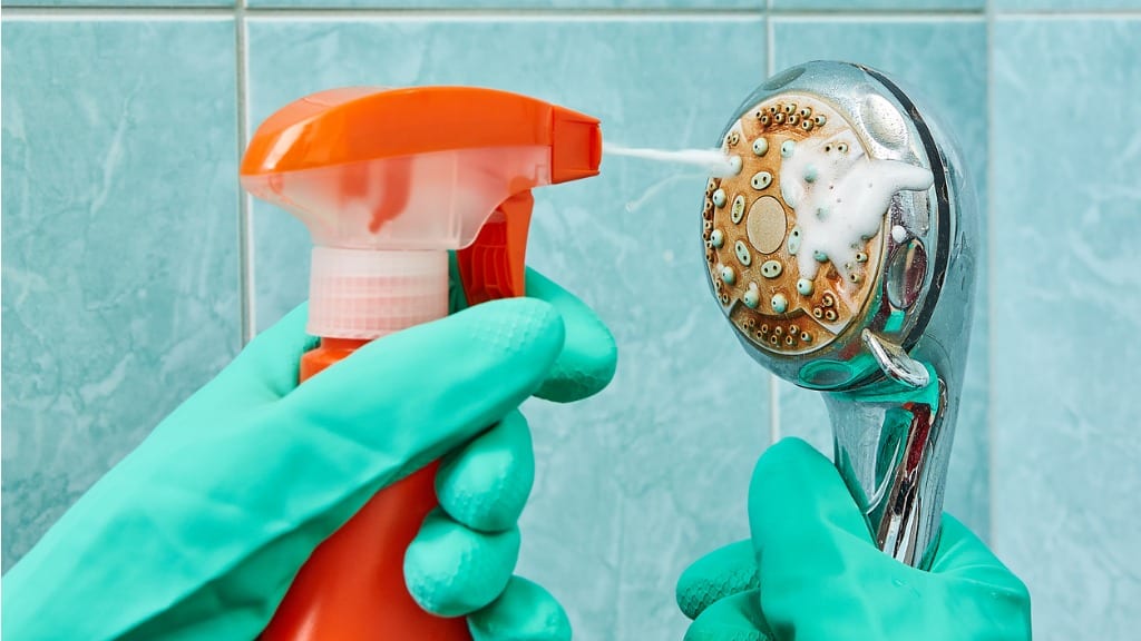 Cleaning a shower head with foamy solution to remove mineral buildup and restore water pressure